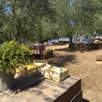 Zampugna Hotels in Pienza