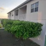 Caribbean Inn and Suites