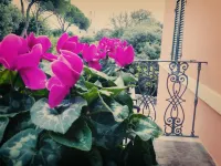 Hotel Rosalba Hotels in Perugia