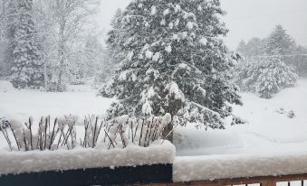 Le Den de Tremblant