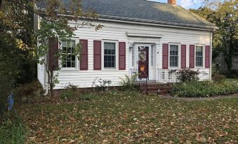 Mulberry Bed & Breakfast - Housity