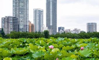 Bnb Plus Ueno Park Female Only