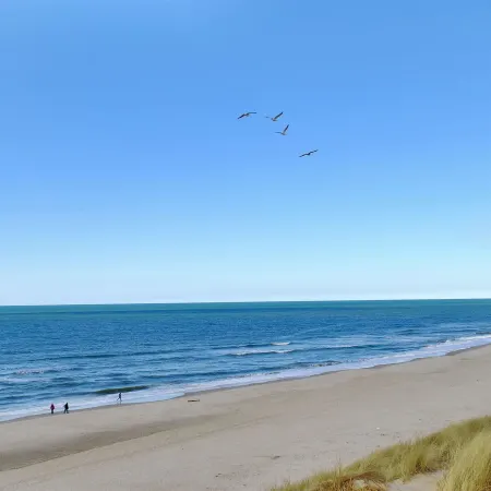 "Jannike" - 100m from the Sea