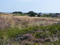 "Arli" - 800m from the Sea
