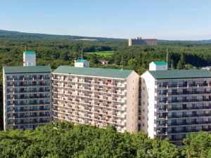 Hotel Epinard Nasu