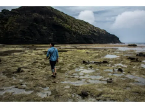 Homestay Kucha 座間味のホテル