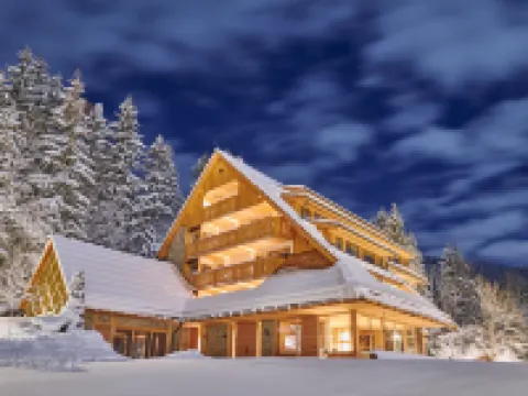 Boutique Hotel Vila Planinka Hotels in Kranj