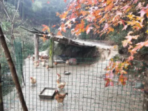 井岡山山地人家度假農家樂