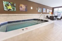 Drury Plaza Hotel Indianapolis Carmel - Badekar
