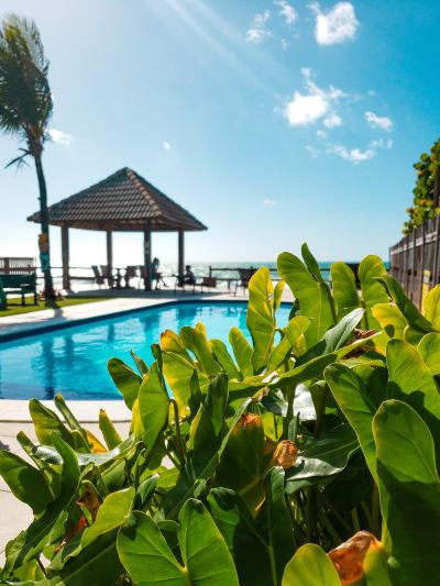 Outdoor Swimming Pool