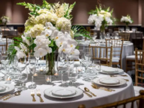 Graduate by Hilton Fayetteville, AR Hotels in Washington County