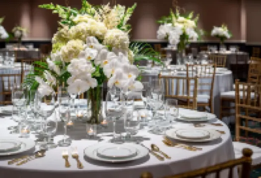 Graduate by Hilton Fayetteville, AR Các khách sạn ở Fayetteville