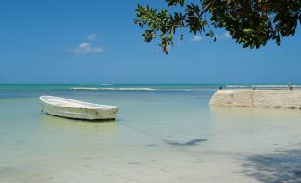 Choby's House Holbox