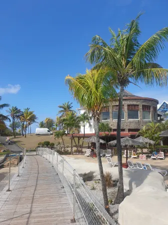 Punch & Cocotiers En Guadeloupe