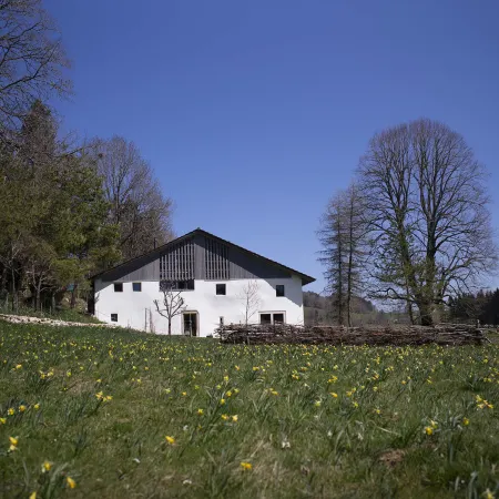 Appartements - N°5 et N°5B