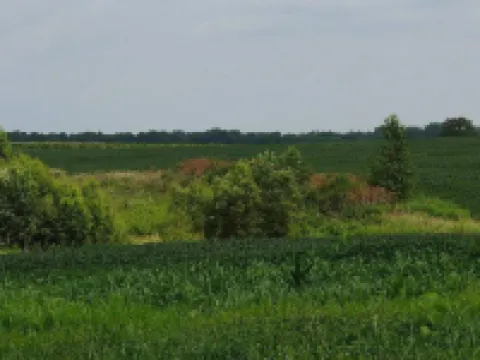 Escape to the Countryside at Black Oak Farm