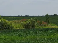 Escape to the Countryside at Black Oak Farm