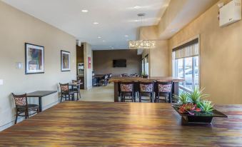 Comfort Inn & Suites Edmonton International Airport