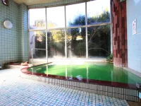 Shinyu Onsen Ryokan Hotels in Minamikyushu