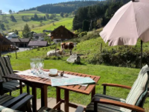 Sonnenblick II Hotels in Todtnau