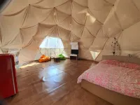 Hapcheon Glamping Story