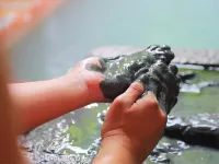 Sakura Sakura Hot Springs - suối nước nóng