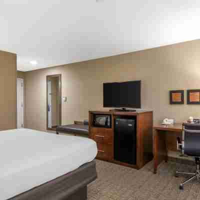 Comfort Inn & Suites Dover-Portsmouth Rooms