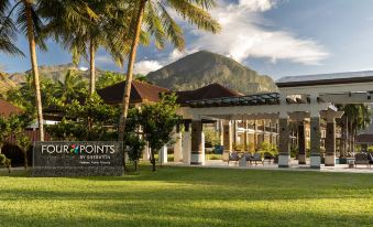 Four Points by Sheraton Palawan Puerto Princesa