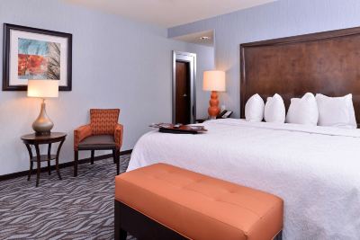 モービリティアクセス可能 キングサイズベッドルーム アクセシブルシャワー付き ハンプトン イン ローマの写真