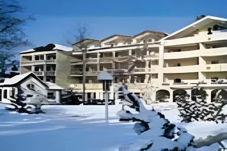 Das Parkhotel Отели в г. Бад-Вёрисхофен