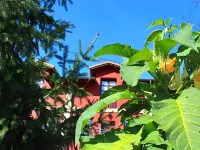 El Molín de Petra Hotels in Nava