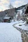 Les Clèves