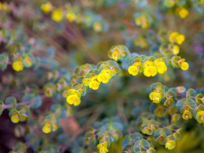 その他 マントラ エスプラネード ケアンズの写真