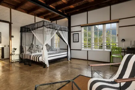 Tea and Experience Factory - Thema Collection