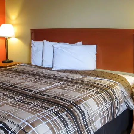 Rodeway Inn