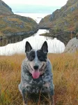 Lochshiel caravans 1 Acharacle
