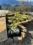 The Cloud 9 Lodge-Wedding and Vacation Destination