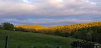 Farm Experience-In the Heart of Vineyard, Wine and Wedding Country-Spacious