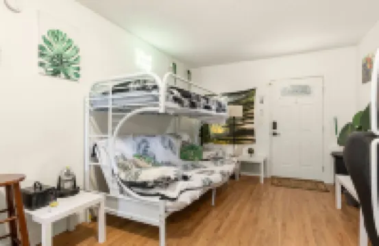 New Jungle Vibes Theme, Your own unit B 에지우드 호텔