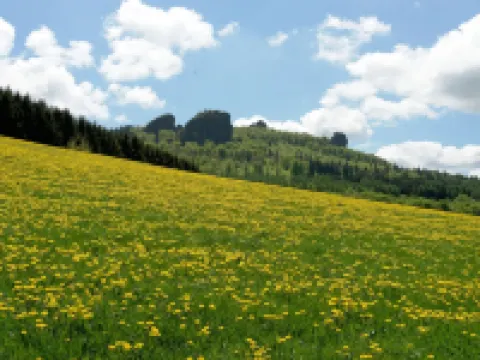 Half-timbered Ornes 1 Hotels in Olsberg