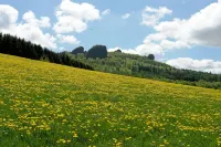 Half-timbered Ornes 1 Hotels in Olsberg
