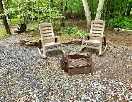 Cozy Cabin in the Woods