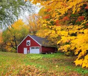 Edson Hill- 5 acres, Dogs/ Views/ Pond /Sledding/ Pingpong  and Air hockey . Hotels near TrueNorth/The Lodge at Spruce Peak