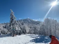 Charming 3-Bedroom + Loft Log Cabin at Lake Bomoseen in Castleton, VT. Sleeps 12