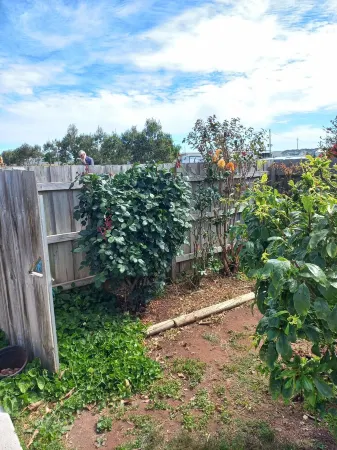 Shaw View Cottage,Beautiful  cosy cottage central to many tourist destinations