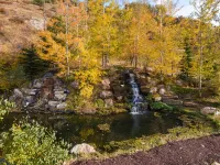 Centrally Located Luxury Home right on Rock Creek perfect for Large Groups