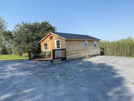 Cozy Little Cabin sleeps 4