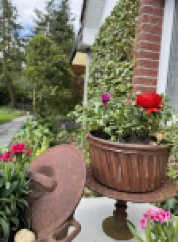 Fewo Froschkönig am Wattenmeer, Kinder- und Tierfreundliche Unterkunft