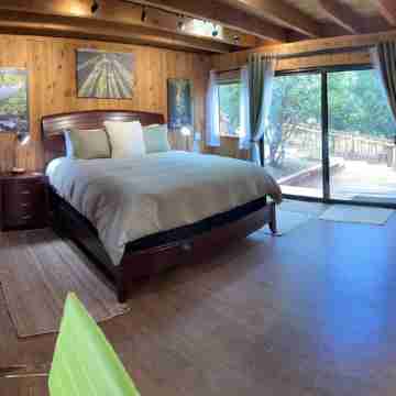 Big Sur-Style Lodge in Carmel - Panoramic Views! Hot-Tub, Game Room/Pool & Dogs Rooms