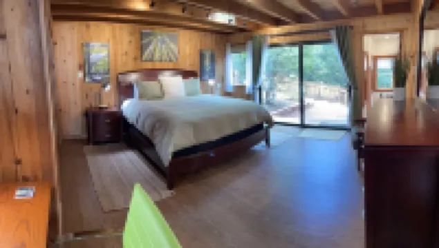 Big Sur-Style Lodge in Carmel - Panoramic Views! Hot-Tub, Game Room/Pool & Dogs